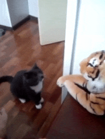 Lustige Gif Animation - Brutale Katze verprügelt einen Tiger...