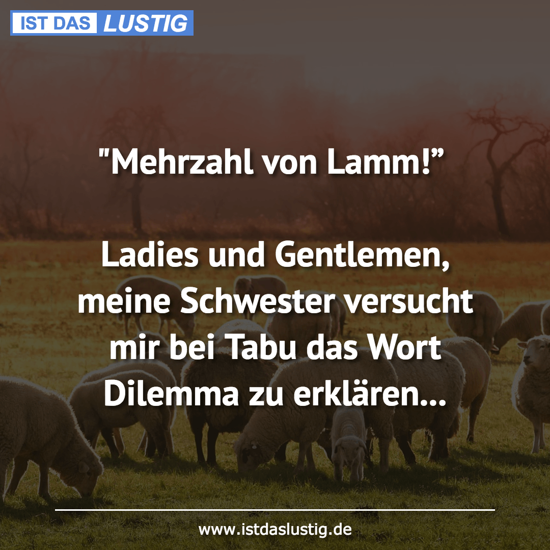Lustiger BilderSpruch - "Mehrzahl von Lamm!”  Ladies und Gentlemen,...