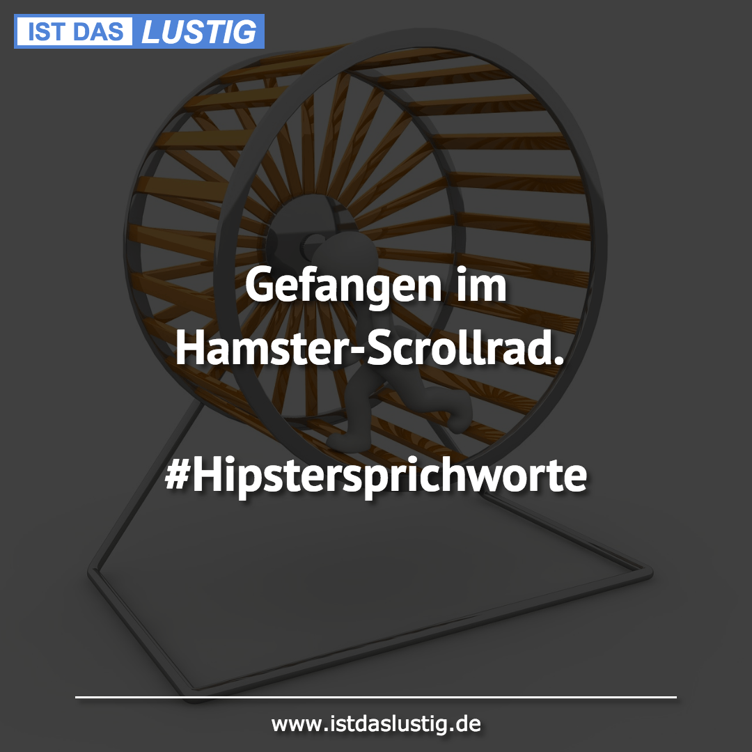 Lustiger BilderSpruch - Gefangen im Hamster-Scrollrad....